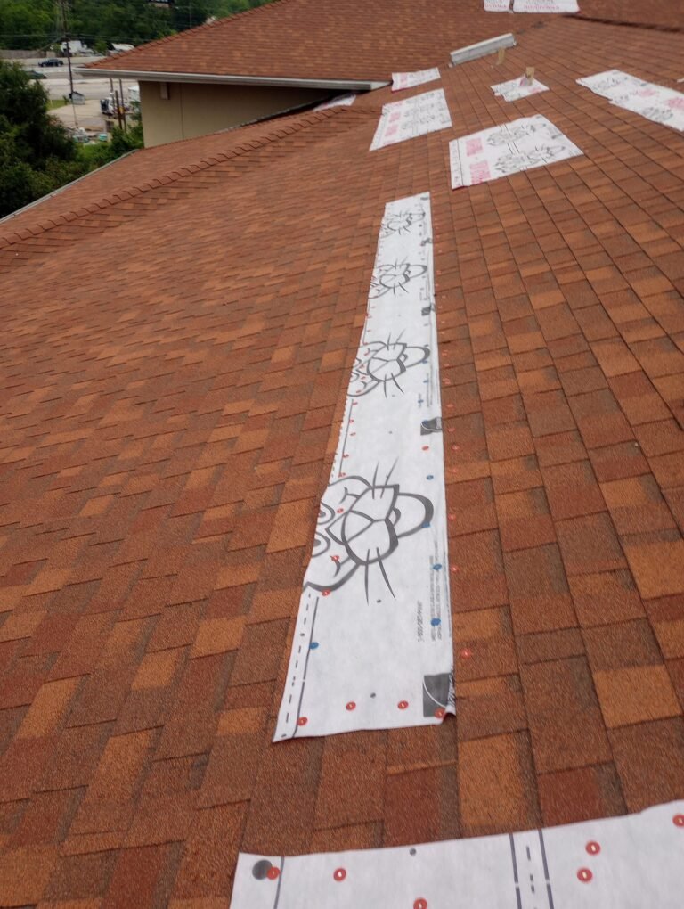 489025473_4008277256117827_3884144938091442229_n