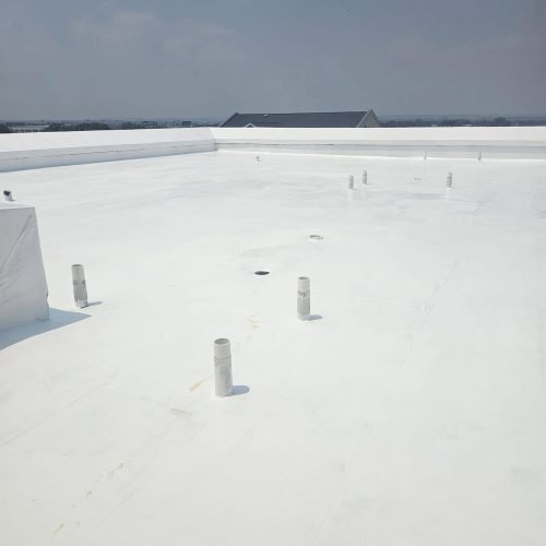 474159727_122172533786045934_3062936839902976789_n