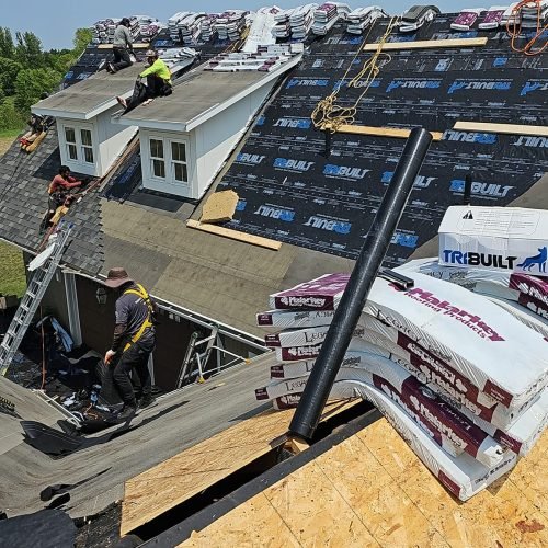 486261255_3993881174224102_4384841429336187692_n