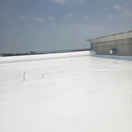 489029998_4008277109451175_1751373933038032753_n