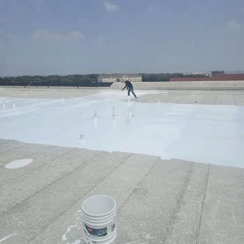 489429852_4008277349451151_6203423266238443434_n