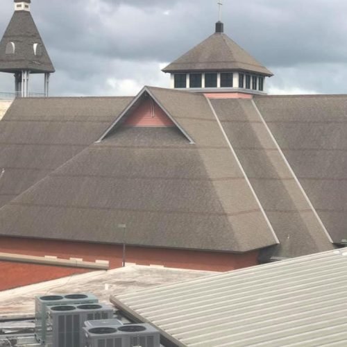 59495685_2123431714438466_4238365137481760768_n